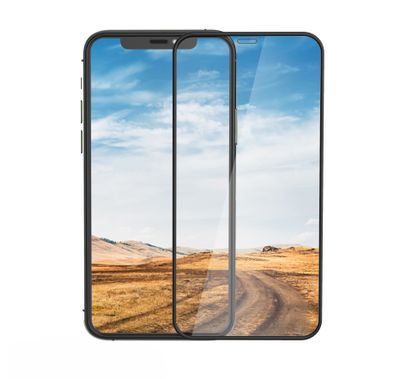 Green Lion 3D Silicone AG/Matte Privacy Glass Screen Protector for iPhone 12 Pro Max (6.7"), 9H Hardness, Anti-fingerprints, Easy Installation, Anti-scratch