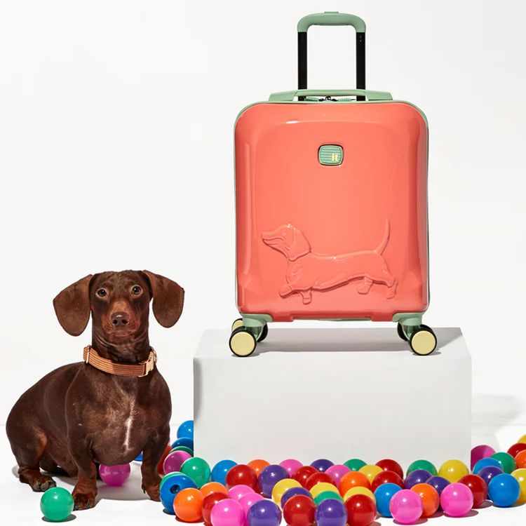 it Luggage Kids Model Daxie Luggage, Handy Top and Side Carry Handles, Telescopic Trolley Handle, 8-Wheel Spinner System, Underseat Size, 24L Capacity