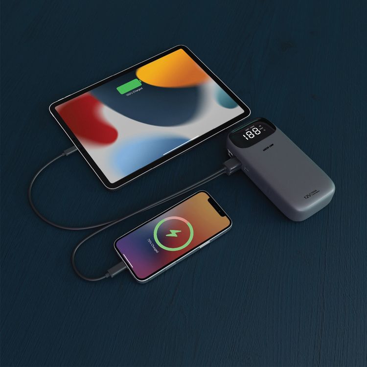 Green Lion Flex Power Jumper with Power Bank Function, Multiple Protection, Durable Build, Smart Jumper Cables Included, Digital Display, Flash Light, - Gray