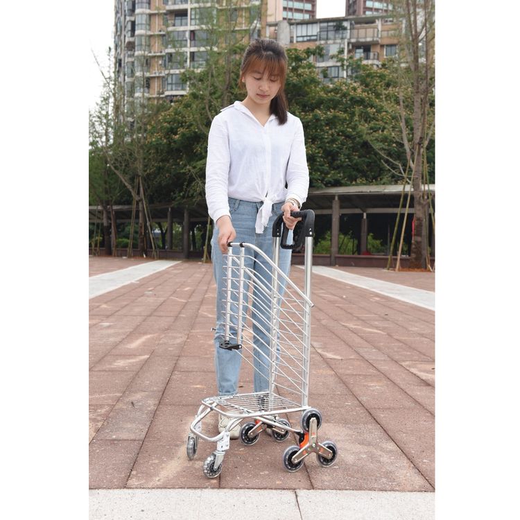 Green Lion Foldable Shopping Trolley with Shopping Bag & Elastic Ring, 20kg Maximum Load, Multiple Use, 8 Wheels, 360° Rotating Handle - Silver