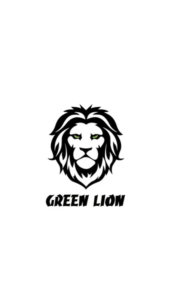 Green Lion GaN Adapter 45W with Dual USB-C Ports in UAE | Multi-Device Compatible - Gray Color | (GNGANAD45GY)