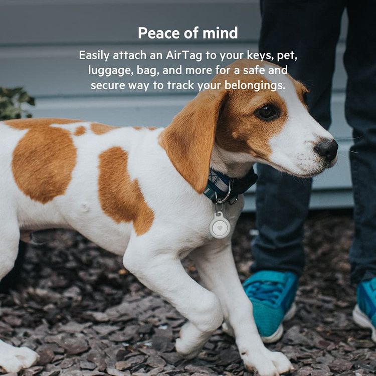 Key Holder Belkin F8W973BTWHT Secure Holder with Key Ring -White