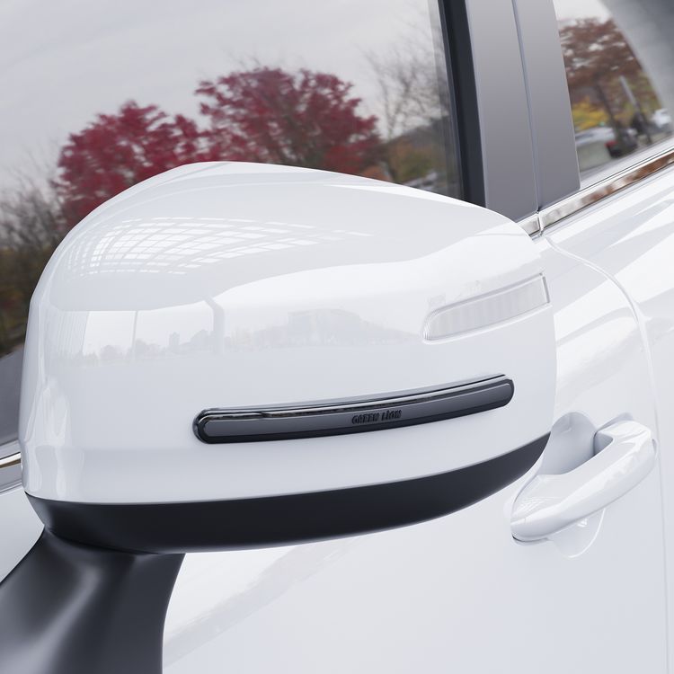 حماية باب السيارة والمرايا من Green Lion مع مجموعة من 4 شرائط، بقبضة لاصقة قوية، ملائمة ومرنة للأحجام العالمية، مقاومة للصدمات، مقاومة للطقس، حماية من الخدوش، ملائمة ومرنة للأحجام العالمية - باللون الأسود