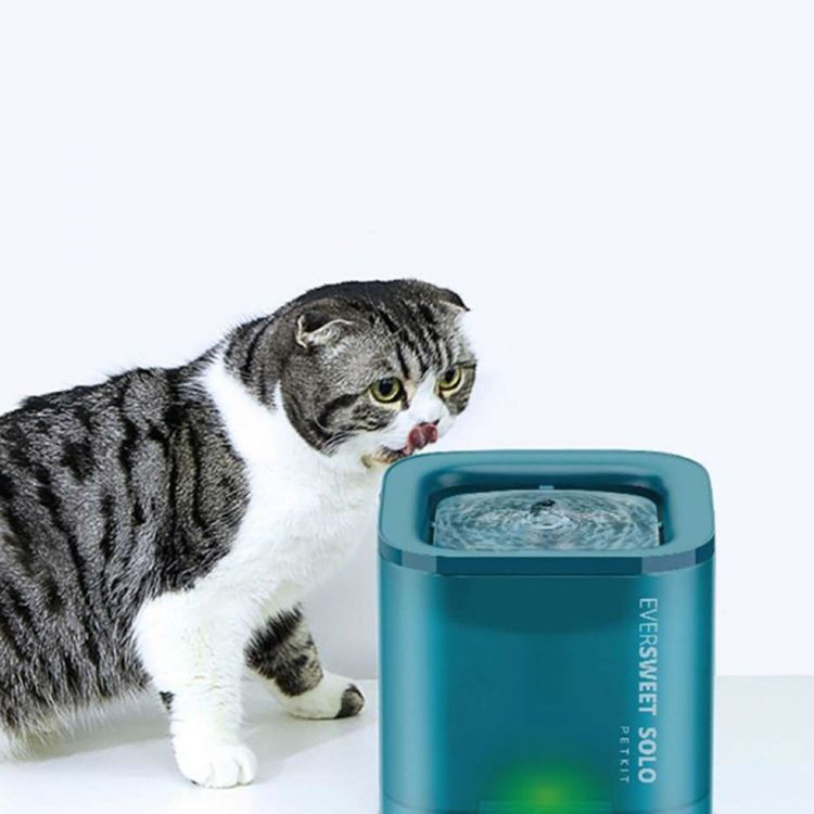 PETKIT EVERSWEET SOLO Smart Fountain - Grey