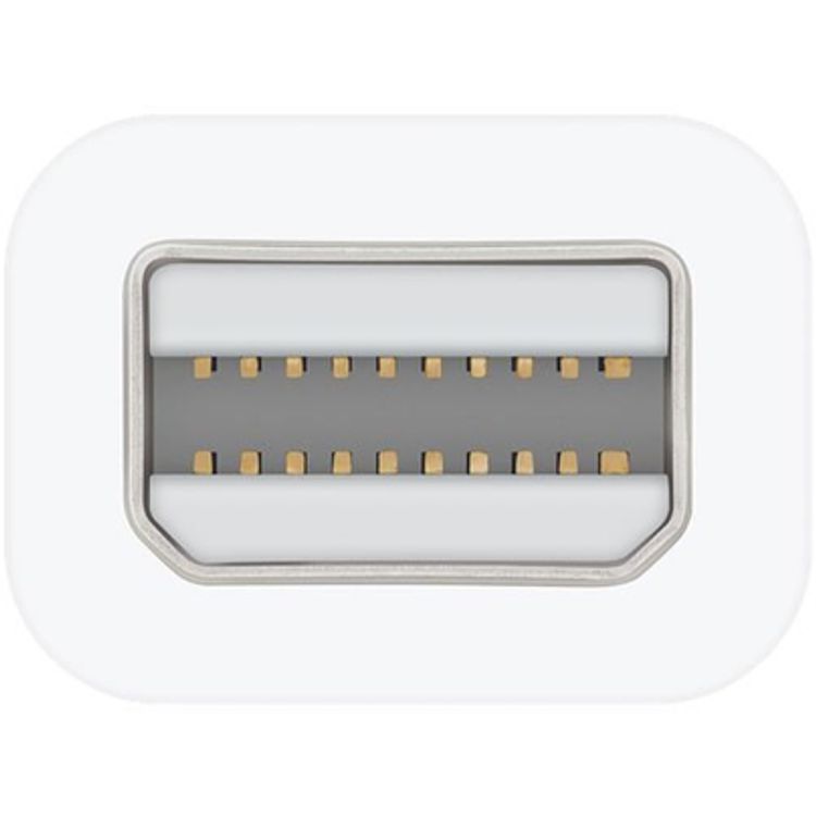 Apple Thunderbolt to FireWire Adapter