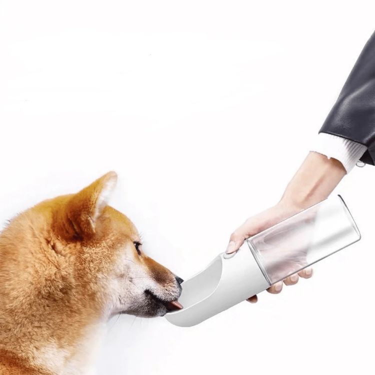 PETKIT Portable Pet Water Bottle with 300mL Capacity, Activated Carbon Filter, BPA-Free, Leak Proof, Portable - Clear