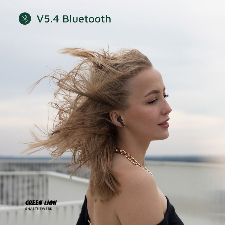 Green Lion Austin True Wireless Earbuds with Built-in Microphone, HiFi Sound, Dual-Mic, Touch Control, Voice Assistant, Type-C Charging, 3 Hours Playtime - Black