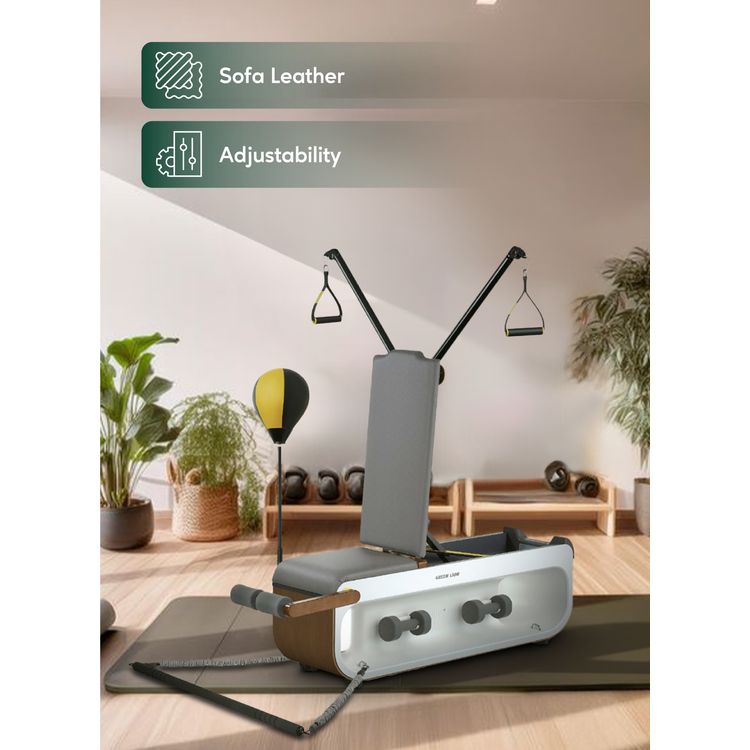 Green Lion Multifunctional Fitness Bench with Leather Sofa, 150kg Capacity, Built-in Wheels, 3kg Dumbbells ×2, Agile Boxing Ball, 10kg Resistance Ropes x2, 20kg Resistance Ropes x2, Dumbbell Row, Bench Press, Cable Crossover, Reverse Push, Ingenious Design - Gray