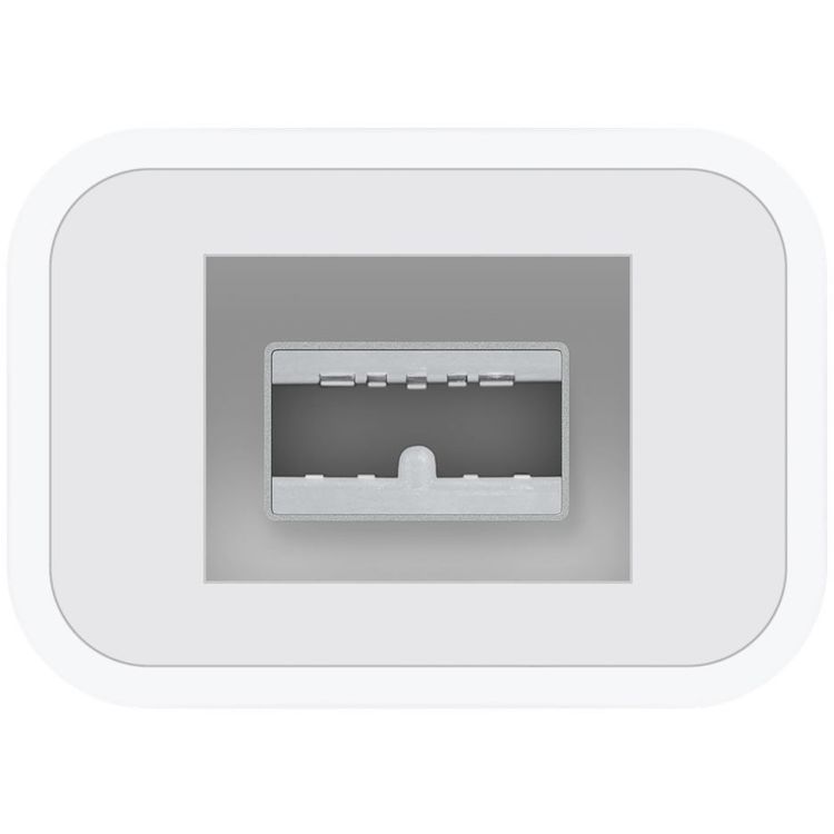 Apple Thunderbolt to FireWire Adapter