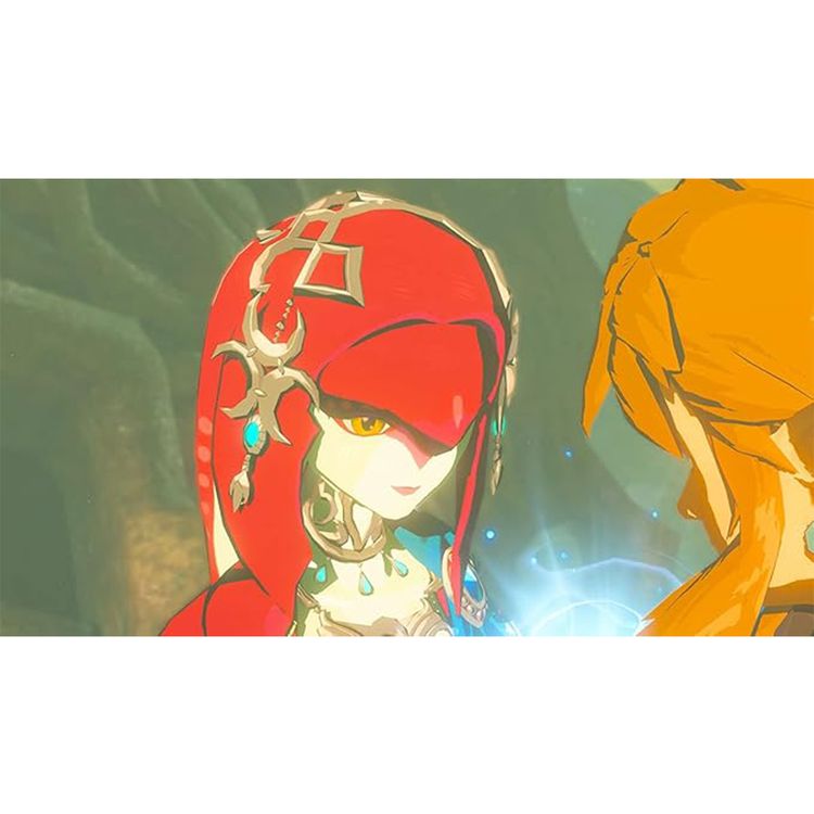 The Legend of Zelda Breath of the Wild Nintendo Switch Video Game (Nintendo Switch)