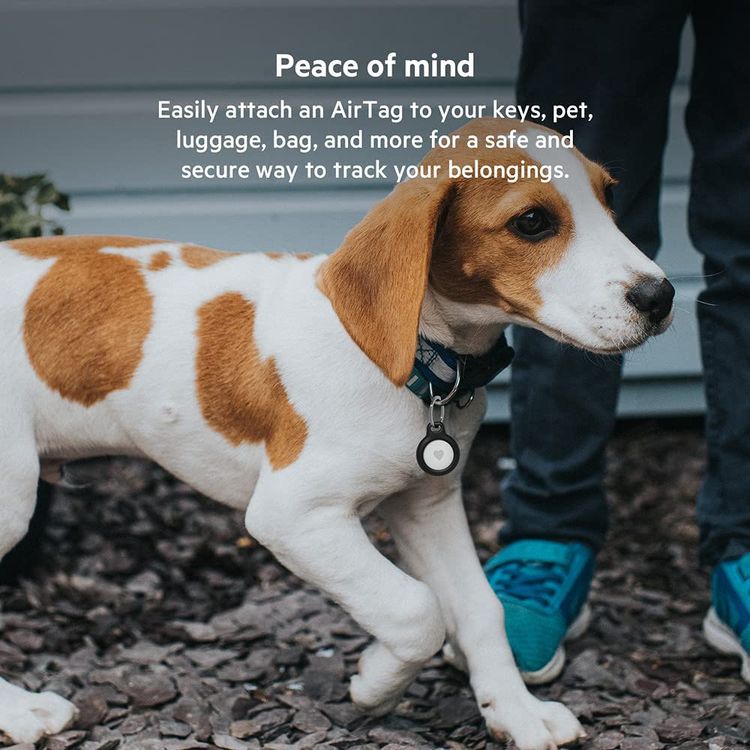 بيلكين حامل آمن مع حلقة مفاتيح متوافق مع ابل ايرتاغ ، غطاء جلدي واقي للخدش ، حامل مضاد للضياع مناسب لجهاز تعقب ايرتاغ بلوتوث - اسود