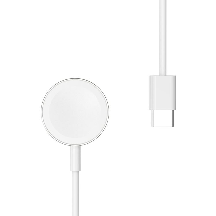 Green Lion Magnetic Charging Cable 1.2M ( Type-C Interface ) Compatible for iWatch Series SE/7/6/5/4/3/2, Magnetic Charging Cable Cord, Powerful Magnetic Charging Pad - Silver