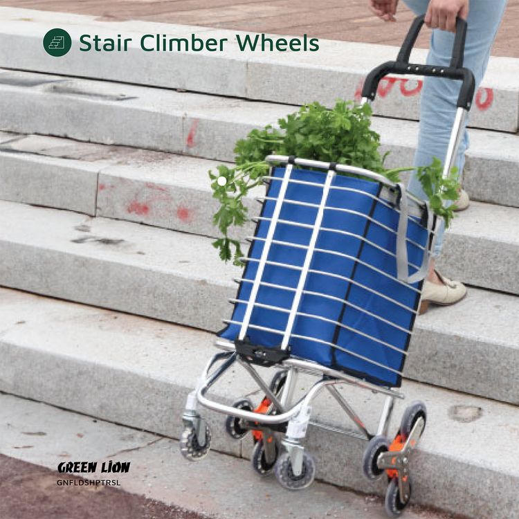 Green Lion Foldable Shopping Trolley with Shopping Bag & Elastic Ring, 20kg Maximum Load, Multiple Use, 8 Wheels, 360° Rotating Handle - Silver