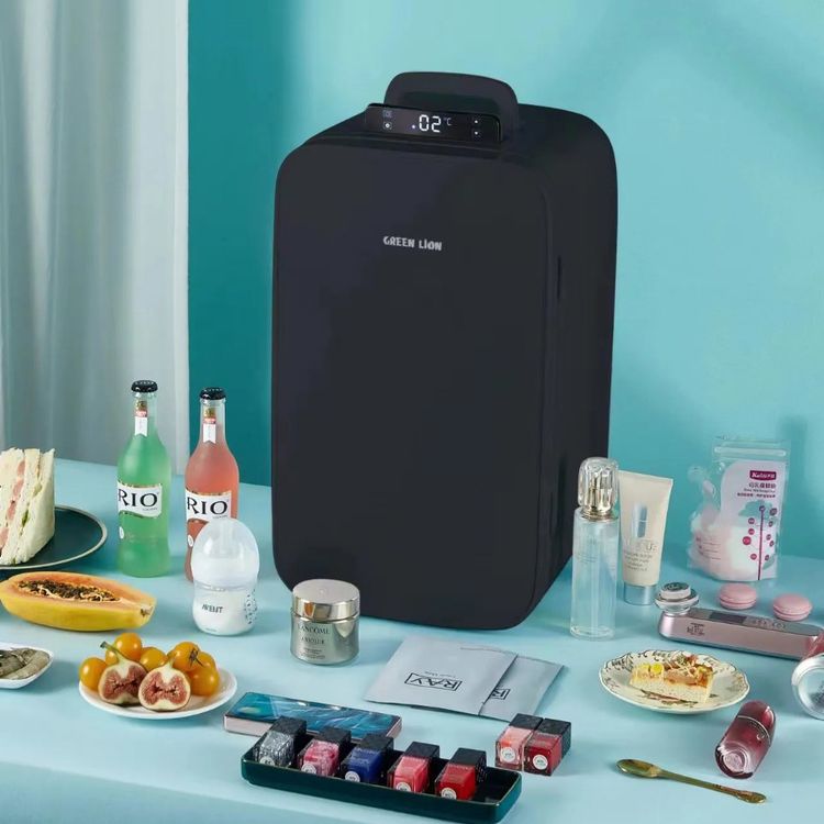 Green Lion Mini Refrigerator with 22L Capacity, Low Noise, Multi Protection, Temperature Control, Multiple Power Option, Quiet & Eco-Friendly, Compact & Portable, Advanced Cooling - Black