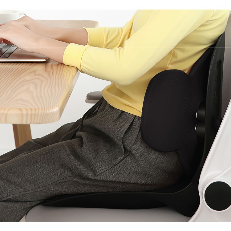 Green Lion Lumbar Pro Adjustable Back Posture Support with PP, PU & Fabric Material, 150kg Max Load Capacity, EVA Cushion Pad, Posture Support - Black