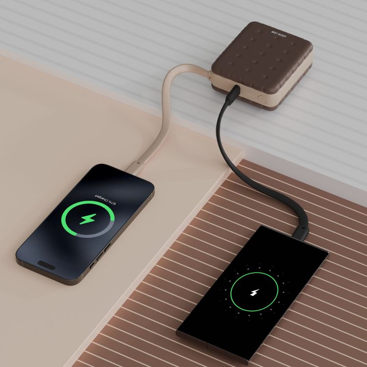 Green Lion Baker 10000mAh Power Bank with PD 20W, Compact Pocket Size, Dual Device Charging, Detachable Type-C Cable, Flight Approved, Easy-Carry Lanyard, LED Battery Indicator - Mocha