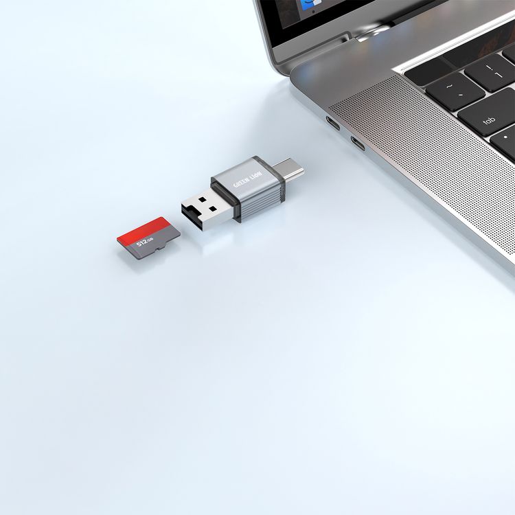 Green Lion 2-in-1 Card Reader with Supports Micro SD Cards, Wide Compatibility, Keychain Lanyard, Plug & Play, Aluminum Alloy Material, 480Mbps Transfer Speed - Gray
