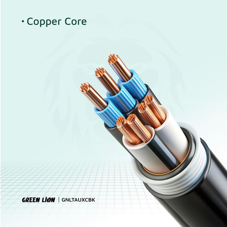 Green Lion Lightning to AUX Braided Cable with 10000 Bends Lifespan, 1m Cable Length, Stable Signal, Copper Core, Transparent + Braided - Black