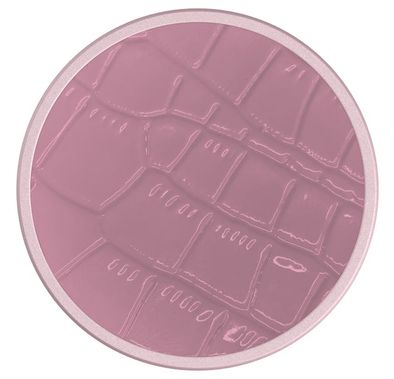 Nuckees Crocodile Vegan Leather Stand and Grip with Snug-hug Technology Compatible for Smartphones Fuchsia