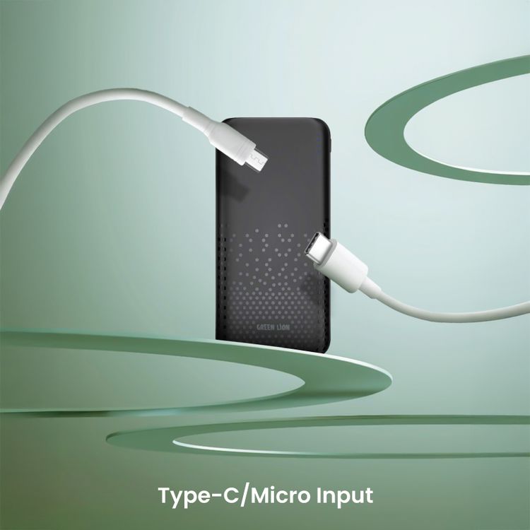 Green Lion Rome 10000mAh Power Bank with 2× USB-A Ports, Type-C & Micro Input, Long Life Battery, ABS & PC Material, Lightweight & Ultra Slim Design - Black