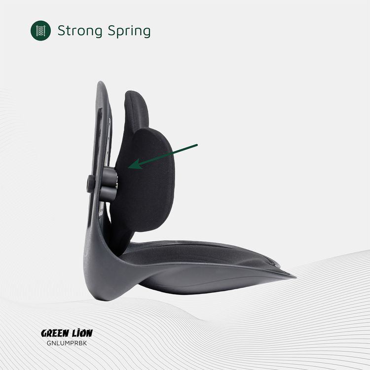 Green Lion Lumbar Pro Adjustable Back Posture Support with PP, PU & Fabric Material, 150kg Max Load Capacity, EVA Cushion Pad, Posture Support - Black
