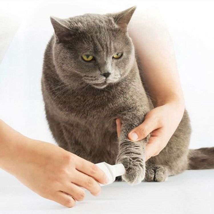 Xiaomi Pawbby Electric Pet Nail Grinder MG-NG001A