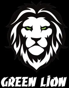 Green Lion Menstrual Heating Massager, Close-Fitting & Comfortable, Fast Heating, Low Noise, Digital Display, 2 Hours Working Time