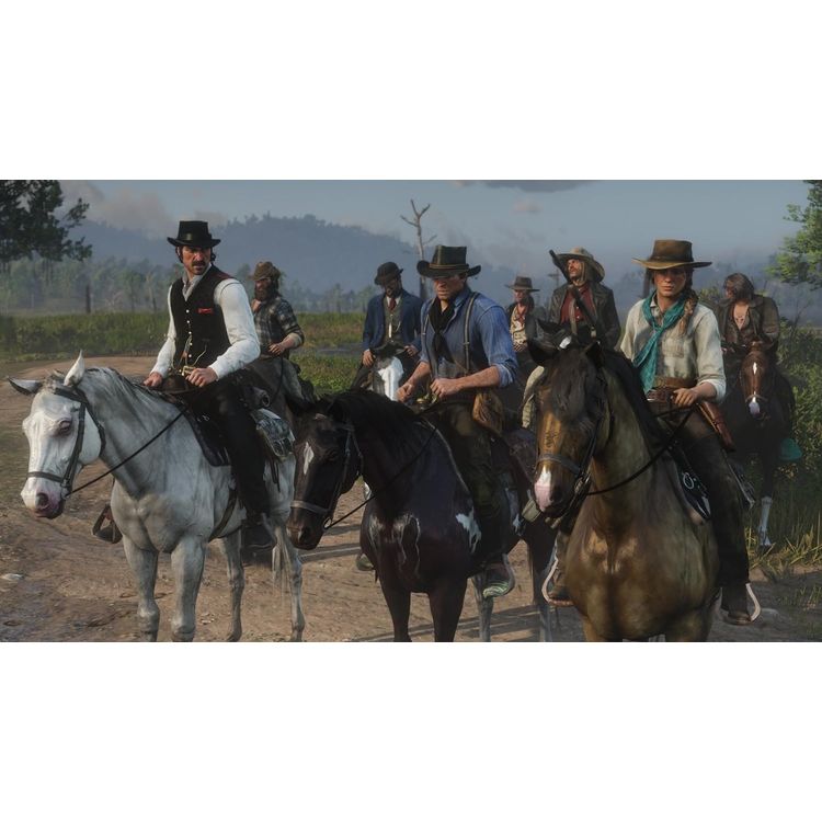Red Dead Redemption 2 (PS4)