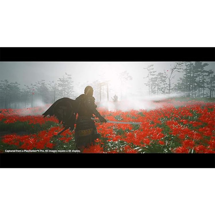 Ghost of Tsushima Standard Edition (PS4)
