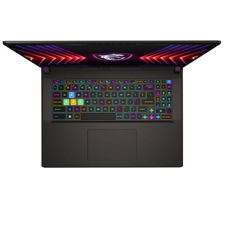 MSI Vector 17 HX A14VHG Gaming Laptop / i9-14900H / RTX 4080 / 17 inch - Cosmos Gray