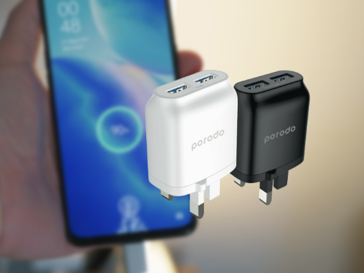 3Pin Dual USB Wall Charger
