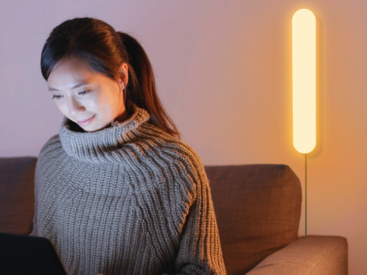 Brite Smart LED Light