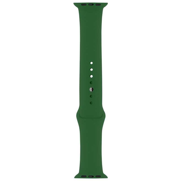 Porodo iGuard Silicone Watch Band Compatible for Apple Watch 38/ 40/ 41mm - Pine Forest