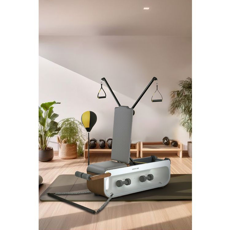 Green Lion Multifunctional Fitness Bench with Leather Sofa, 150kg Capacity, Built-in Wheels, 3kg Dumbbells ×2, Agile Boxing Ball, 10kg Resistance Ropes x2, 20kg Resistance Ropes x2, Dumbbell Row, Bench Press, Cable Crossover, Reverse Push, Ingenious Design - Gray